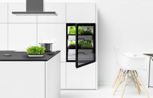 Plantcube de Miele