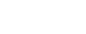 Plastimodul