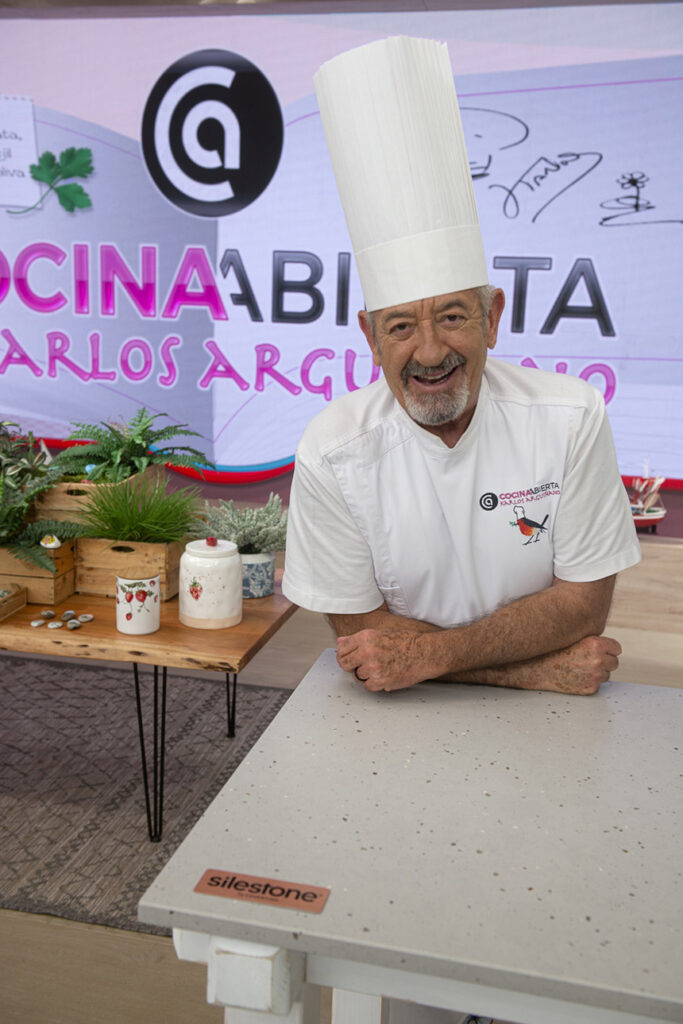 arguiñano silestone