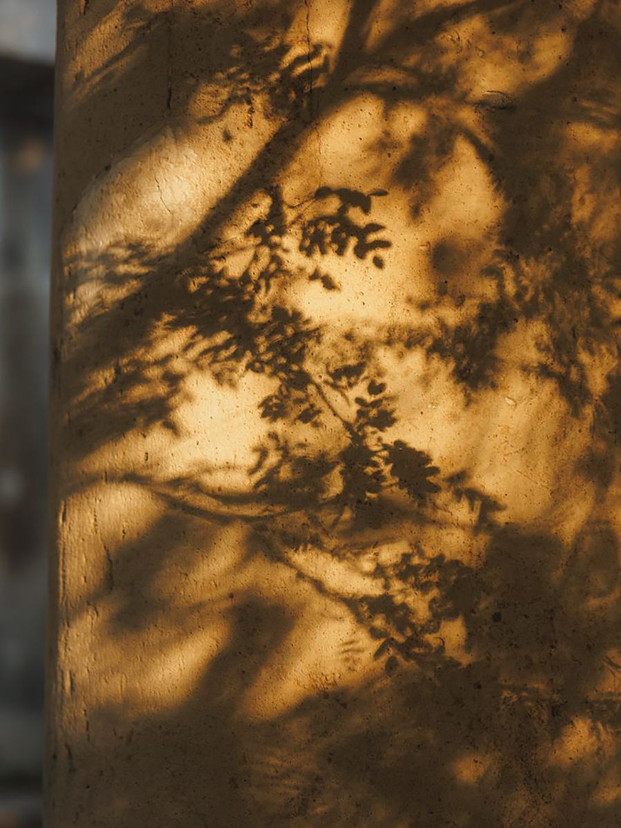 Origen de Nexo Küchen: antes de cocina fue árbol